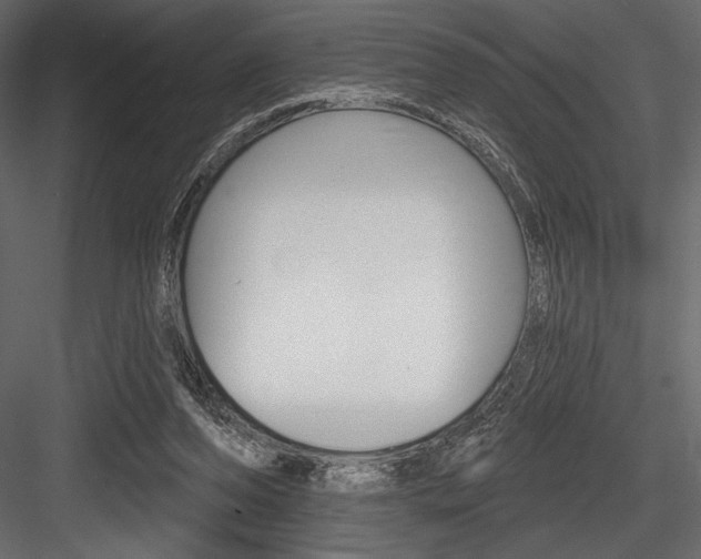 X0000084520208200702230846