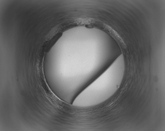 X0000084520209200702230846