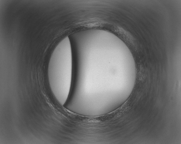 X0000084520210200702230846