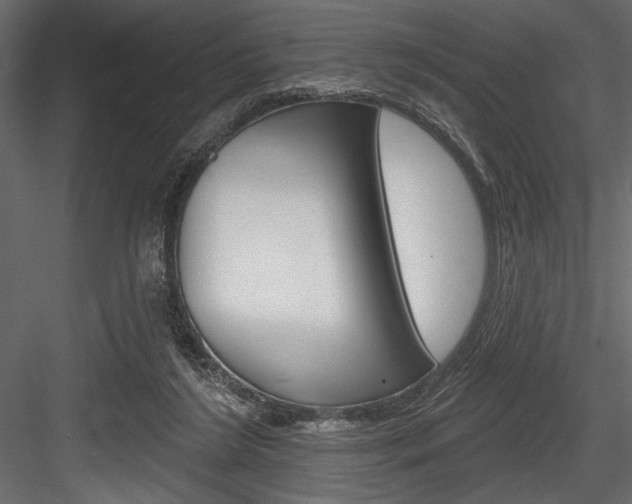 X0000084520212200702230846
