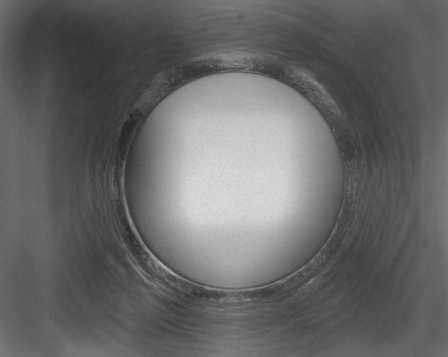 X0000084520213200702230846