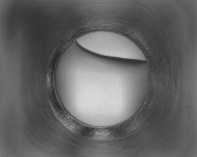 X0000084520214200702230846