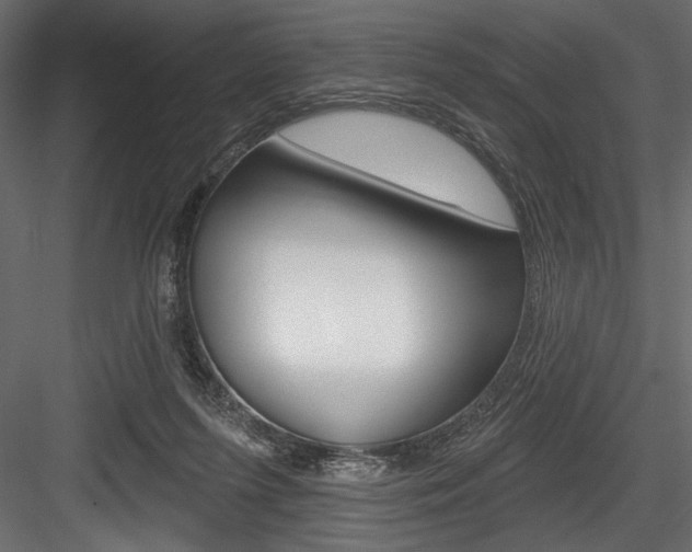 X0000084520215200702230846