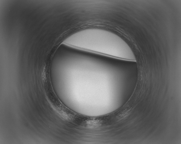 X0000084520216200702230846