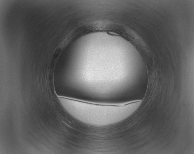 X0000084520217200702230846