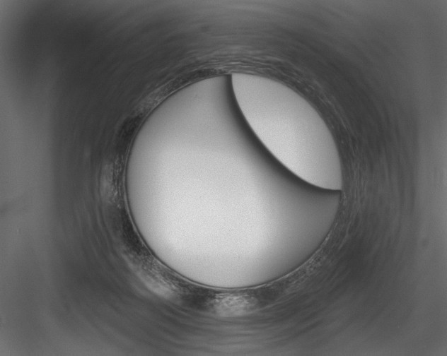 X0000084520218200702230846