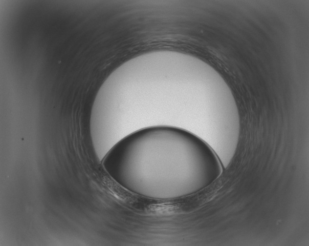 X0000084520219200702230846