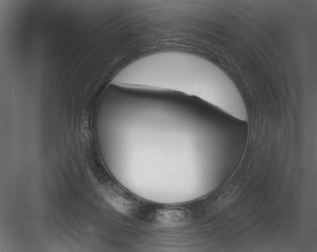 X0000084520220200702230846