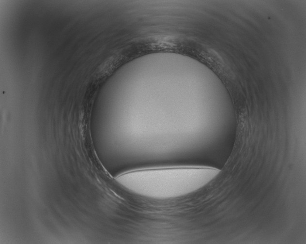 X0000084520223200702230846