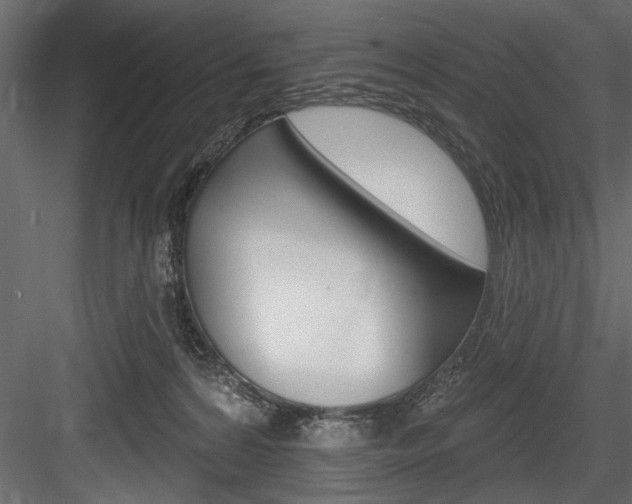 X0000084520224200702230846