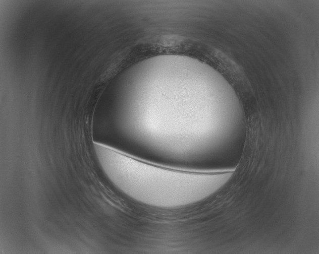 X0000084520225200702230846