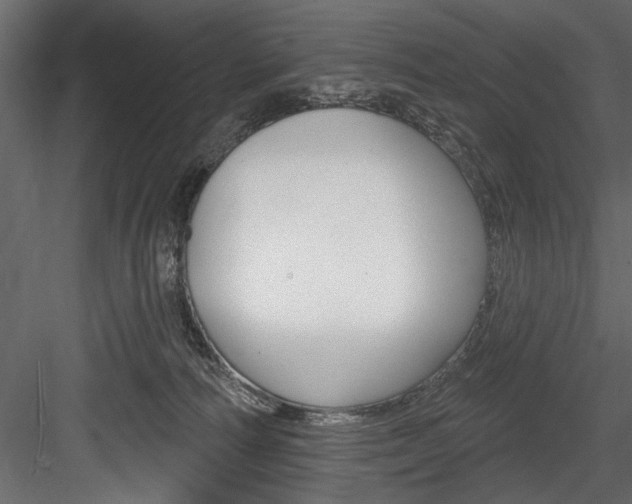 X0000084520226200702230846