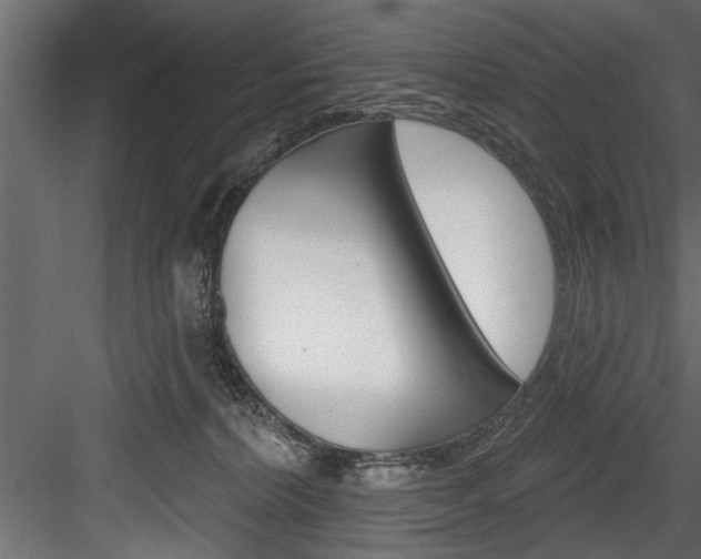 X0000084520228200702230846