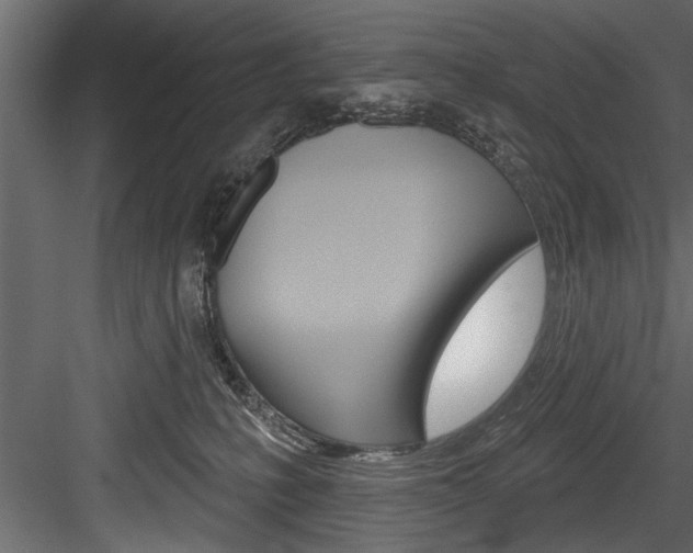 X0000084520231200702230846