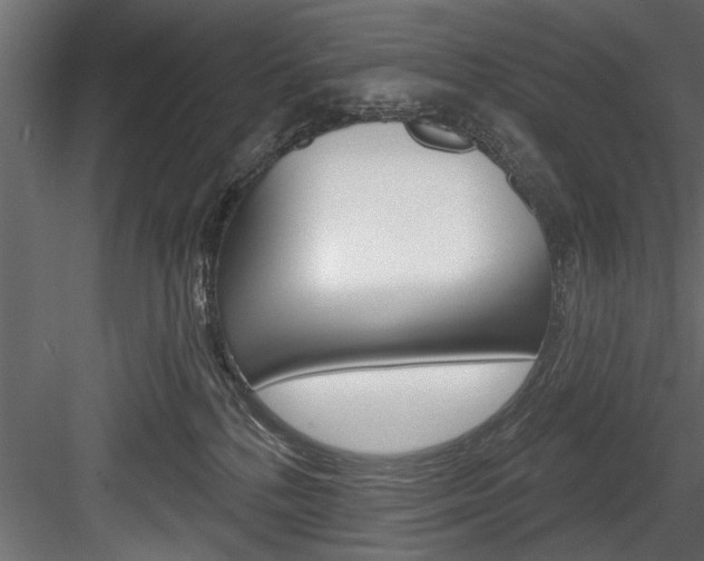 X0000084520232200702230846