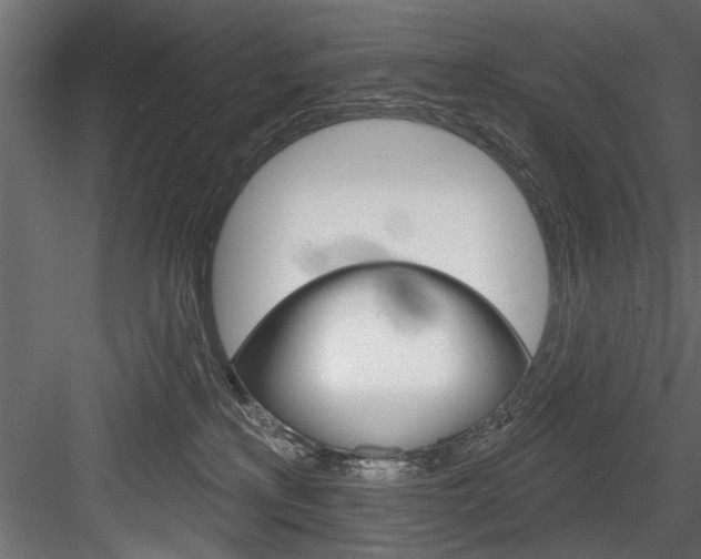 X0000084520233200702230846