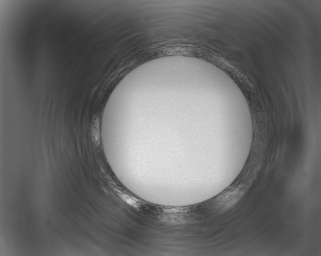 X0000084520240200702230846