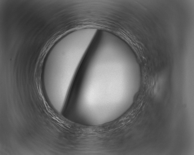 X0000084520241200702230845