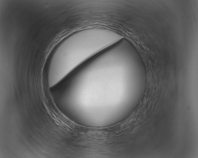 X0000084520242200702230845