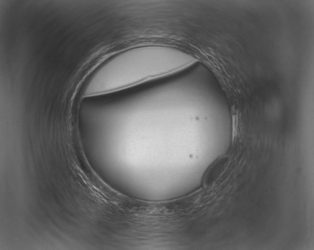 X0000084520243200702230845