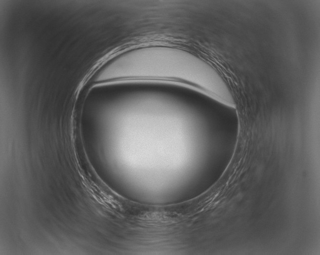 X0000084520244200702230845