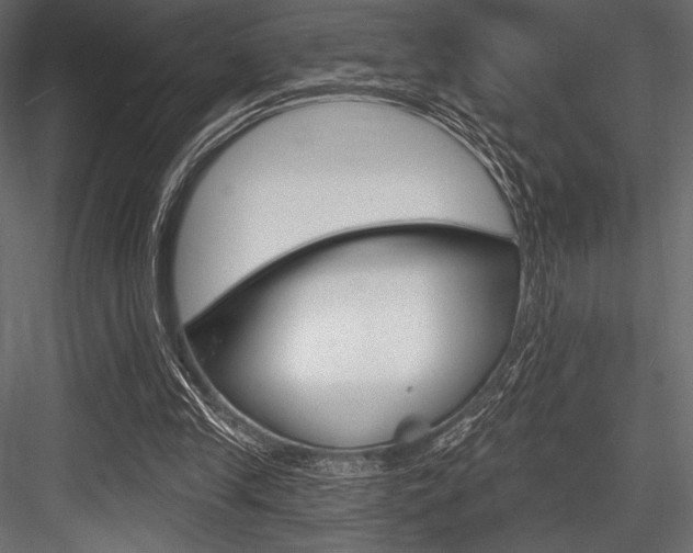 X0000084520245200702230845