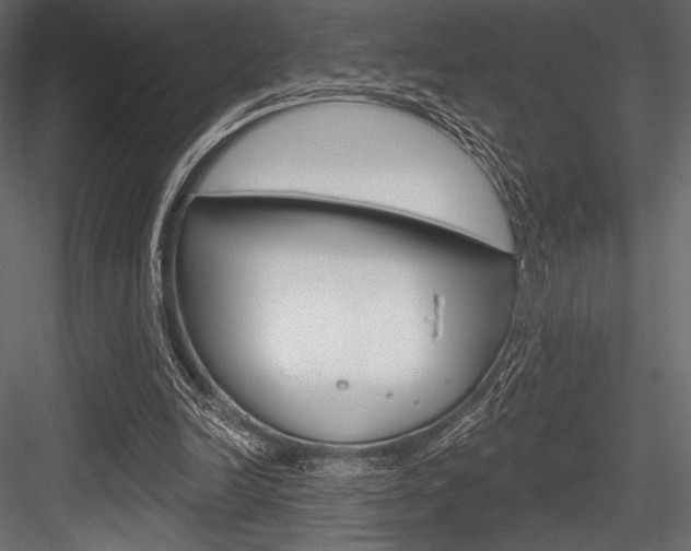 X0000084520246200702230845