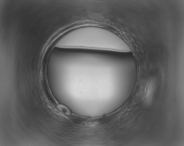 X0000084520247200702230845