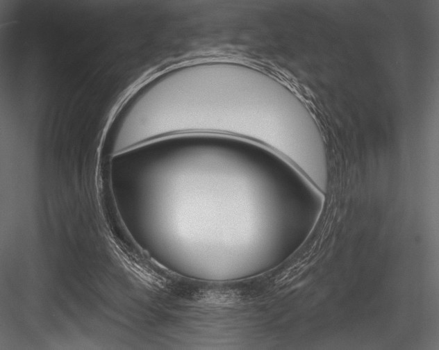 X0000084520248200702230845