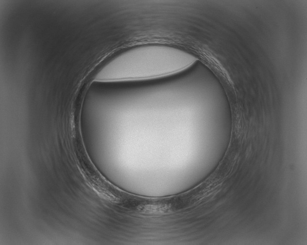 X0000084520251200702230845