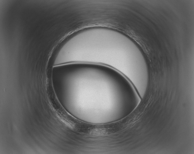 X0000084520252200702230845
