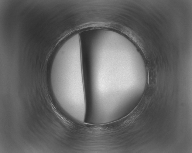 X0000084520253200702230845