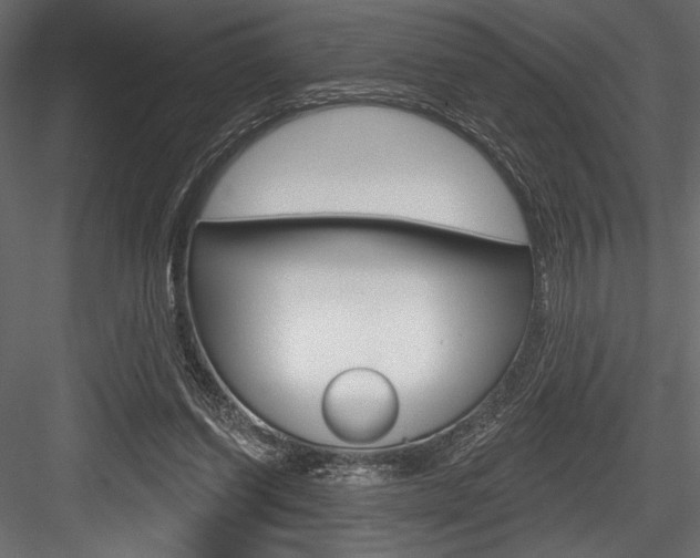 X0000084520254200702230845