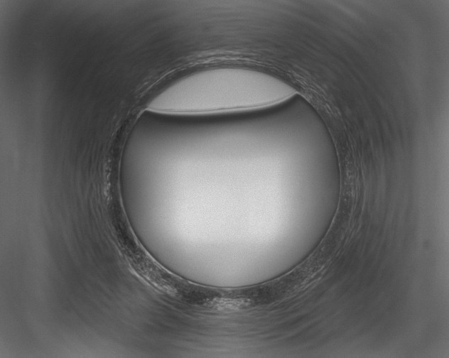 X0000084520255200702230845