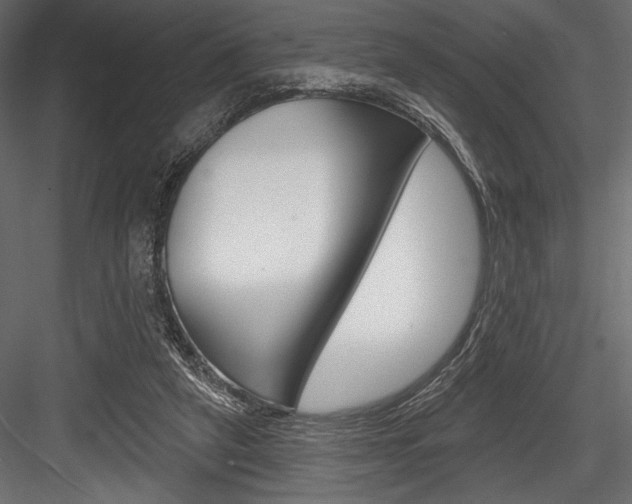X0000084520257200702230845