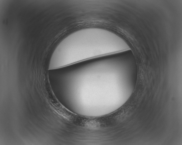 X0000084520258200702230845