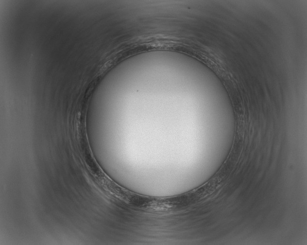 X0000084520263200702230845