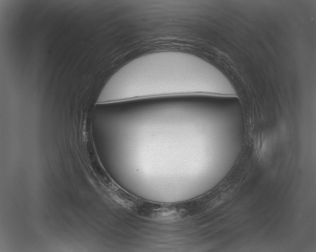X0000084520267200702230846