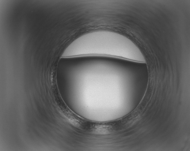 X0000084520268200702230846