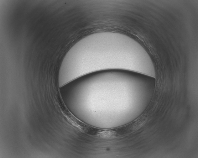 X0000084520269200702230846