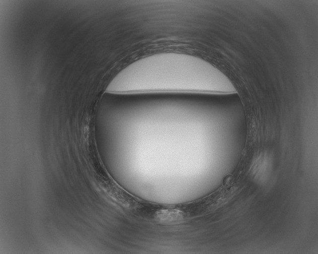 X0000084520271200702230846