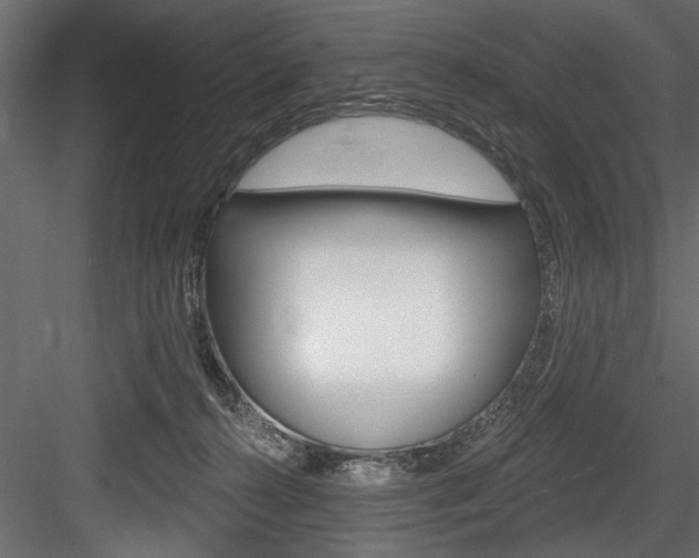 X0000084520272200702230846