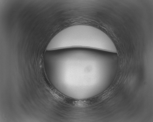 X0000084520273200702230846
