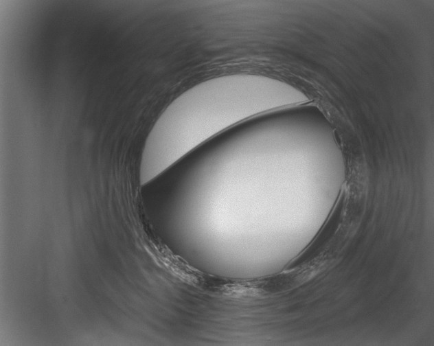 X0000084520284200702230846