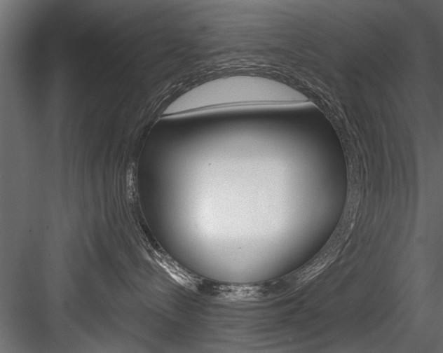 X0000084520288200702230846