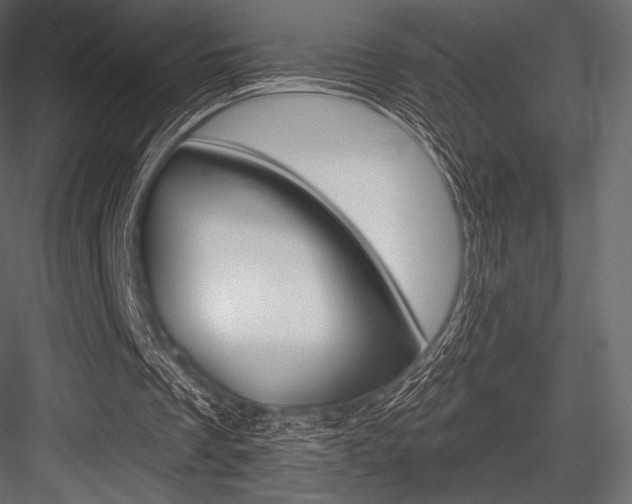 X0000084520289200702230845