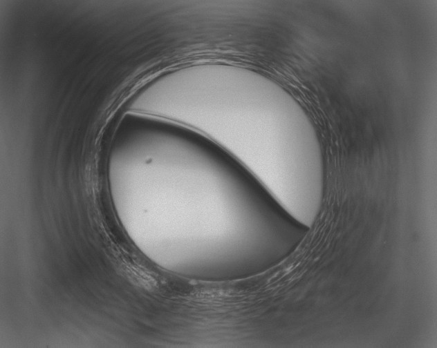 X0000084520291200702230845