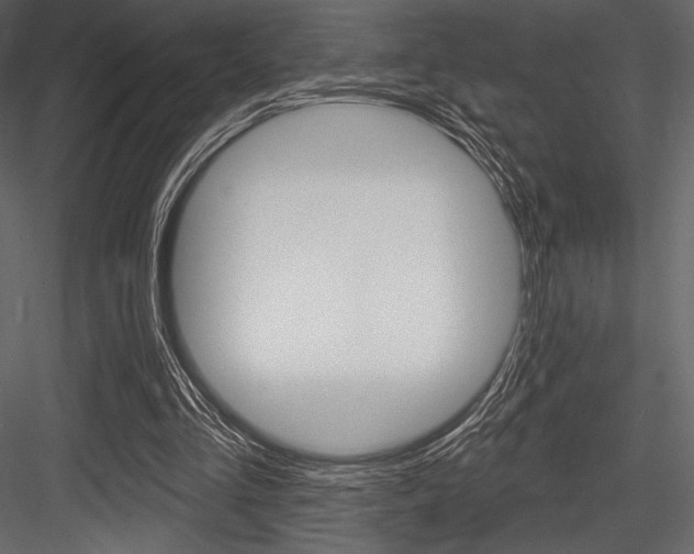 X0000084520293200702230845