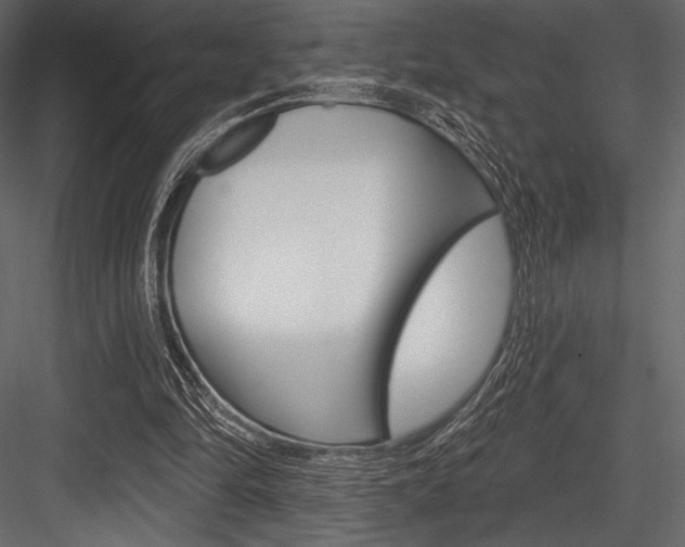 X0000084520294200702230845