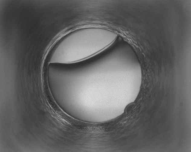 X0000084520296200702230845